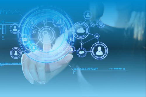 商品計劃管理系統 信息咨詢服務如何助力企業實現高效決策與資源配置